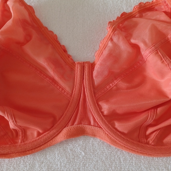 1St & Curve Embroidered Unlined Underwire Bra, size 36I - Picture 12 of 16